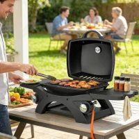 Outsunny 2 Burner Gas Grill with 2 Detachable Side Tables, 3.8 KW Steel Barbecue Grill with Cast Iron Grates, Lid, Thermometer(m-3)