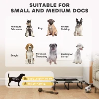 PawHut Portable Raised Dog Bed, Elevated Pet Cot with Breathable Mesh for Indoor Outdoor, for Small Medium Dogs, Light Grey(m-8)
