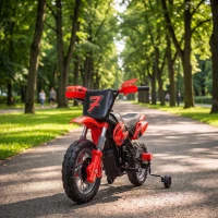 AIYAPLAY Moto Électrique Enfants 12 V, Vitesse Max 3 Km/h, Batterie au Lithium, Double Moteur, Suspension Arrière, Rouge(m-2)