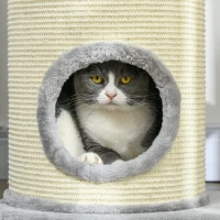 PawHut Krabpaal met Krabton, 1 Kattenbed en Kattenspeelgoed, 59 cm x 35 cm x 100 cm, Grijs(m-9)