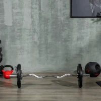SPORTNOW Halterschijf, 2-delige Set, 15 kg per Schijf, Drie Handgrepen, Vloerbeschermende Rubberen Jas, Metaal(m-9)