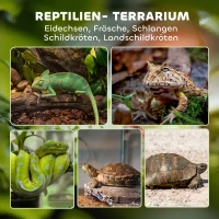 PawHut Glazen terrarium voor reptielen, verhoogde & waterdichte bodem, knopsluiting(m-4)