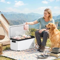 Outsunny Frigo Portatile Elettrico 20L con Maniglia e Schermo LCD, in Acciaio Zincato, 61x32x28.5 cm, Bianco(m-2)