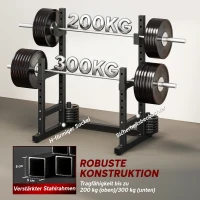 SPORTNOW Halterstandaard 2 Niveaus Gewichtshouder van Staal Squat Rack tot 300 kg Zwart(m-6)