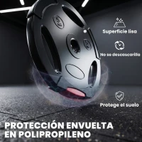 SPORTNOW Juego de Discos Pesas de 4 Piezas 2x5 kg 2x2,5 kg con Orificios de 2,5 cm para Entrenamiento Fitness en Hogar Negro(m-6)