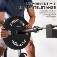 SPORTNOW Halterschijvenset, 2 x 20 kg, Olympische standaard, Rubber, Geluidsarm, Zwart(m-5)