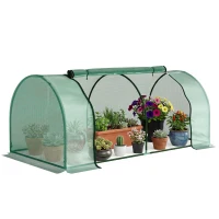 Outsunny Kas, Tuinkas met Deur, Koude Bak, Plantenhuis, Plantenkweek, Staal, Kunststof, 200 x 100 x 80 cm, Groen(m-11)