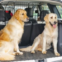 PawHut Verstelbaar Autorek voor Honden, 93-150cm, Opvouwbaar, Eenvoudige Montage, Staal, Zwart(m-2)