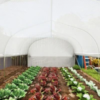 Outsunny 6x3x2m Kas, Toegankelijk, Met 8 Vensters, Deur, Vliegengaas, en Metalen Frame - Wit(m-9)