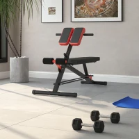 HOMCOM Multifunction Weight Bench with 2 Dumbbells, 7-Level Adjustable Hyper Extension Sit-up Bench(m-10)