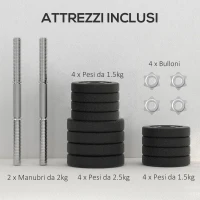 HOMCOM Set Manubri Palestra da 25 kg Totali con 12 Dischi Pesi e 2 Barre da 2 kg, Nero(m-6)