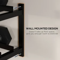 SPORTNOW Wall-Mounted Dumbbell Rack, 2-Tier Weight Stand, Space-Saving and Multi-Functional Steel organiser for Home Gym, Black(m-4)