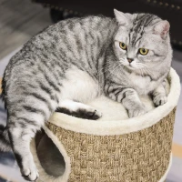 PawHut kattenkrabpaal Kattenton voor katten 3 niveaus Krabpaal klimboom Kattenmeubel met sisal pluche 37,5 x 37,5 x 70 cm(m-8)