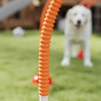 PawHut Behendigheidsset voor honden met 4 verstelbare deuren, draagtas, Geel en Oranje(m-8)