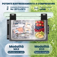 Outsunny Frigorifero Portatile 42.5L a Compressore con Controllo App, -20℃ a 20℃(m-4)