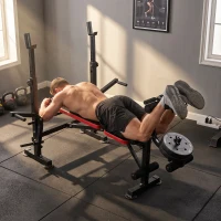 HOMCOM Banc de musculation Fitness entrainement complet avec support d'haltères dossier réglable acier 175 x 139 x 127 cm noir(m-9)