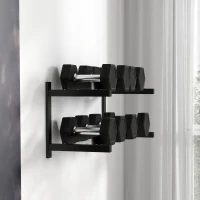 SPORTNOW Wall-Mounted Dumbbell Rack, 2-Tier Weight Stand, Space-Saving and Multi-Functional Steel organiser for Home Gym, Black(m-8)