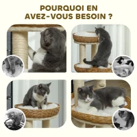 PawHut Arbre à chat arbre à grimper hauteur de 75,5 cm avec deux lits pour chat en rotin griffoirs coussins lavables beige(m-7)