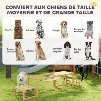 PawHut Équipements d'entraînement agilité pour chien kit d'équipement d'agilité pour chien 3 pièces en bois massif bois naturel(m-6)
