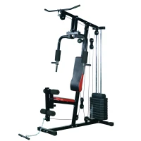HOMCOM Panca per Allenamento Casa Palestra Multifunzione Professionale Addominali Gambe Pettorali in Acciaio Nero 125x106x205cm(m-1)