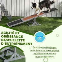 PawHut Agility sport pour chien bascule équipement entrainement chien bois sapin pré-huilé feutre bitumé antidérapant gris noir(m-7)