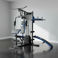 SPORTNOW Station de Musculation avec Pile de Poids de 65 kg, Équipement de Gym à Domicile avec Banc pour Abdominaux, Noir et Bleu(m-2)