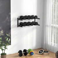 SPORTNOW Wall-Mounted Dumbbell Rack, 2-Tier Weight Stand, Space-Saving and Multi-Functional Steel organiser for Home Gym, Black(m-2)