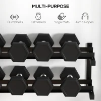 SPORTNOW Wall-Mounted Dumbbell Rack, 2-Tier Weight Stand, Space-Saving and Multi-Functional Steel organiser for Home Gym, Black(m-5)