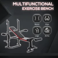 HOMCOM Adjustable Weight Bench with Leg Developer Barbell Rack for Weight Lifting and Strength Training Multifunctional Workout Station for Home Gym Fitness(m-4)