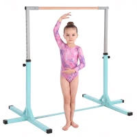 HOMCOM Gymnastik-Turnreck, Reckstange, 13-stufig höhenverstellbar, bis 75 kg belastbar, Stahl, Buchenholz, Hellblau(m-12)