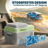 Outsunny 12 liter compressor koelbox elektrische koelbox met aansluiting koelhoudfunctie Grijs+Groen(m-7)