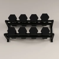 SPORTNOW Wall-Mounted Dumbbell Rack, 2-Tier Weight Stand, Space-Saving and Multi-Functional Steel organiser for Home Gym, Black(m-9)