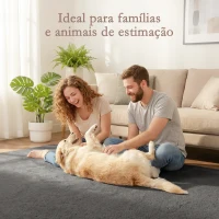 HOMCOM Tapete para Sala de Estar 120x160 cm Tapete Lavável à Máquina Pelo Longo Macio Estilo Moderno Cinza(m-8)