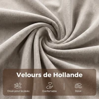 HOMCOM Canapé Convertible 2 Places 3 en 1, Canapé-Lit Clic Clac en Velours Hollandais, Dossier Réglable, 2 Oreillers, Beige(m-7)
