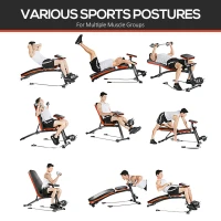HOMCOM Adjustable Reclined Dumbbell Bench Weight Lifting Set Folding Sit Up Ab Bench Home Training Gym Multiuse Workout Exercise Fitness with 2 x 4kg Dumbbells(m-6)