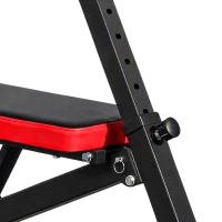 SPORTNOW Halterbank, multifunctionele trainingsbank, opvouwbare fitnessbank, belastbaar tot 300 kg, staal, zwart(m-13)