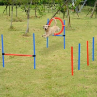PawHut Agility sport pour chiens équipement complet obstacles et entrainement 11 pièces parcours agility chien avec sac de transport acier rouge et bleu(m-2)