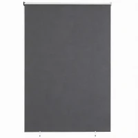 Outsunny Außenrollo 160 x 240 cm Ausziehbar Balkonrollo mit Perlenzug UPF30+ Senkrechtmarkise Dunkelgrau(m-12)