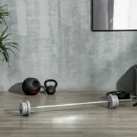 SPORTNOW Bilanciere da Squat, Stacchi da Terra e Sollevamenti, per Pesi da Ø2.5 cm da 100kg mx, in Acciaio, Ø2.5x170 cm, Argento(m-10)