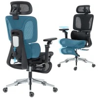 HOMCOM Ergonomic Office Chair, High Back Mesh Desk Chair, Black(m-11)
