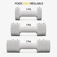 SPORTNOW Set de 2 haltères ensemble musculation disques poids réglables en acier et boîte de rangement 2 x 2,5 kg blanc(m-4)