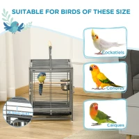 PawHut Parrot Cage, Travel Carry Pet Bird Cage, with Metal Handle(m-7)