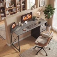 HOMCOM Mesa de Ordenador 120x50 cm Escritorio de Ordenador Industrial con Compartimento y 2 Cajones para Oficina Gris Claro(m-9)