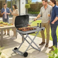 Outsunny Tragbarer Gasgrill 1-Brenner 2,5kW Grillwagen mit Faltbarem Rollwagen Grillrost Seitentisch Deckel Thermometer(m-10)