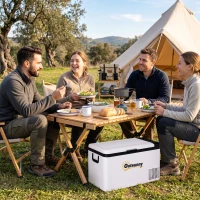 Outsunny Geleira Elétrica de Compressor 25L Portátil até -20℃ com Luz LED e Alças Dobráveis Geleira de Carro 12V/24V e 240V para Casa Campismo Viagem 58,5x33,5x35,2cm Branco(m-9)
