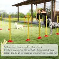 PawHut 4-Delige Agility-Set voor Honden met Vulbare Basis voor Training(m-7)