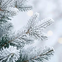 HOMCOM Prelit Flocked Artificial Christmas Tree Set of 3 Snowy Xmas Tree Warm White LED Lights (3FT+4FT+5FT)(m-12)