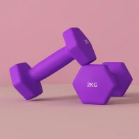 SPORTNOW Set 2 Manubri 2x2 kg Esagonali e Antiscivolo per Casa e Palestra, in Metallo e Plastica, 16x7.5x7.5 cm, Viola(m-6)