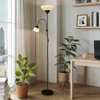 HOMCOM LED Floor Lamp for Living Room, 180cm Tall Standing Lamp, Mother and Child Uplighter with Adjustable Gooseneck, 3000K/4500K/6500K Colour Temperatures, Black(m-9)