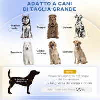 PawHut Divano per Cani di Taglia Grande con Gambe Rialzate e Cuscino Sfoderabile, 98x67x25 cm, Verde Chiaro(m-4)